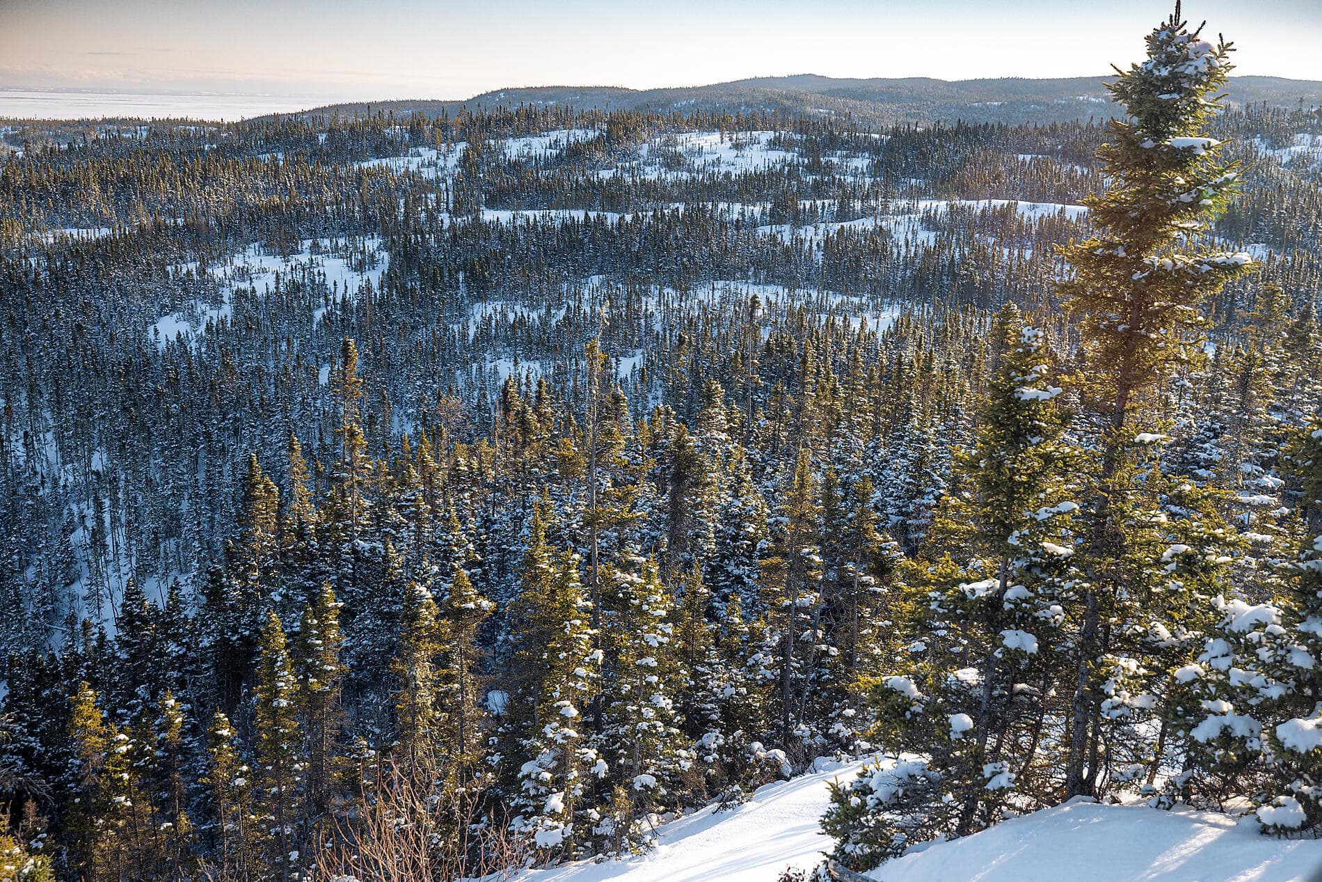 The St. Lawrence River in the Heart of the Boreal Winter 