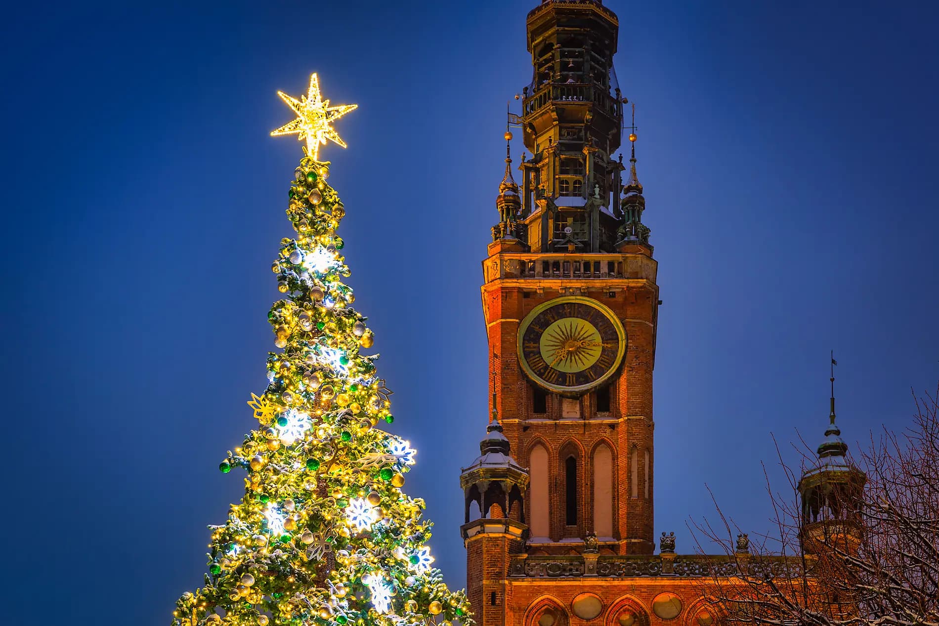 Gautier Capuçon's Baltic Symphony at Sea 