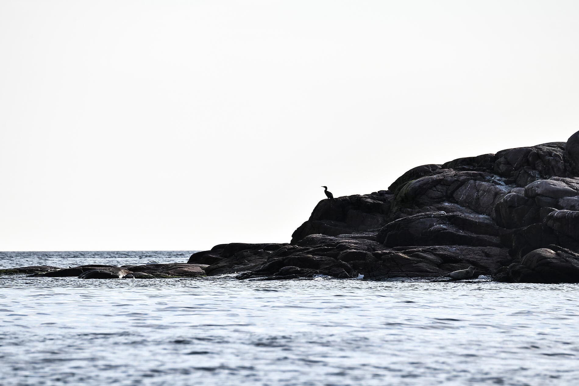 From the North Sea to the Baltic 