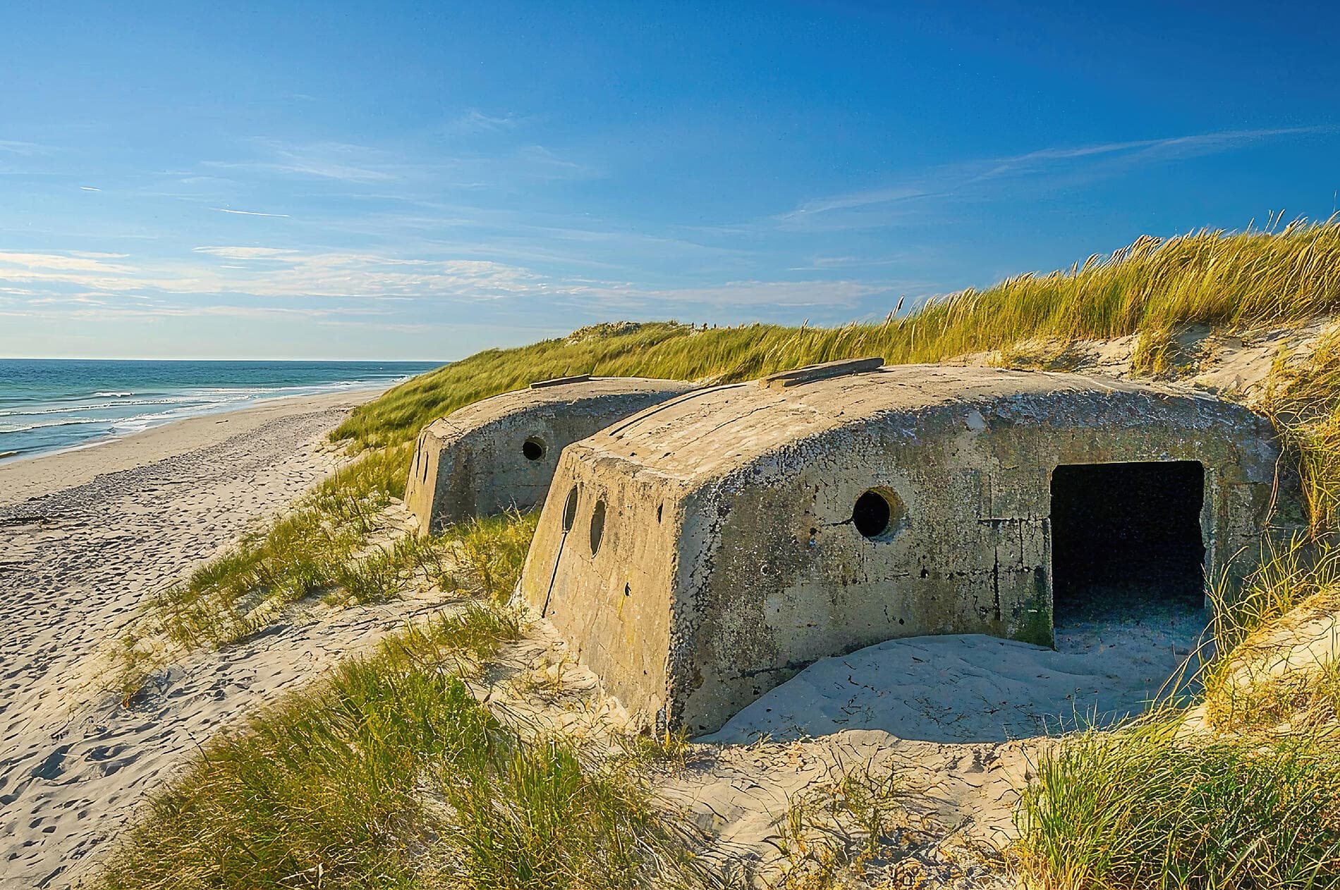 A World Affairs Voyage from Copenhagen to London 