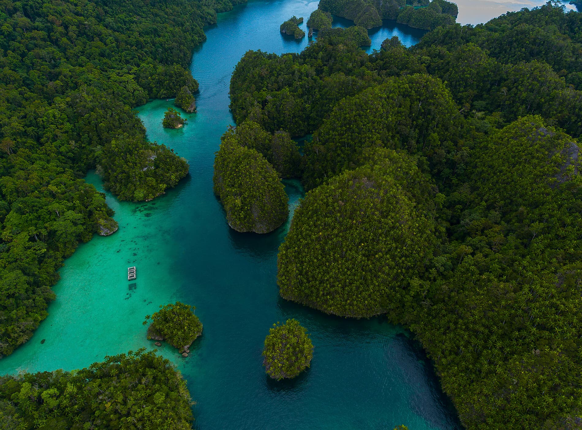 Tropical Odyssey between Indonesia and North East Australia 