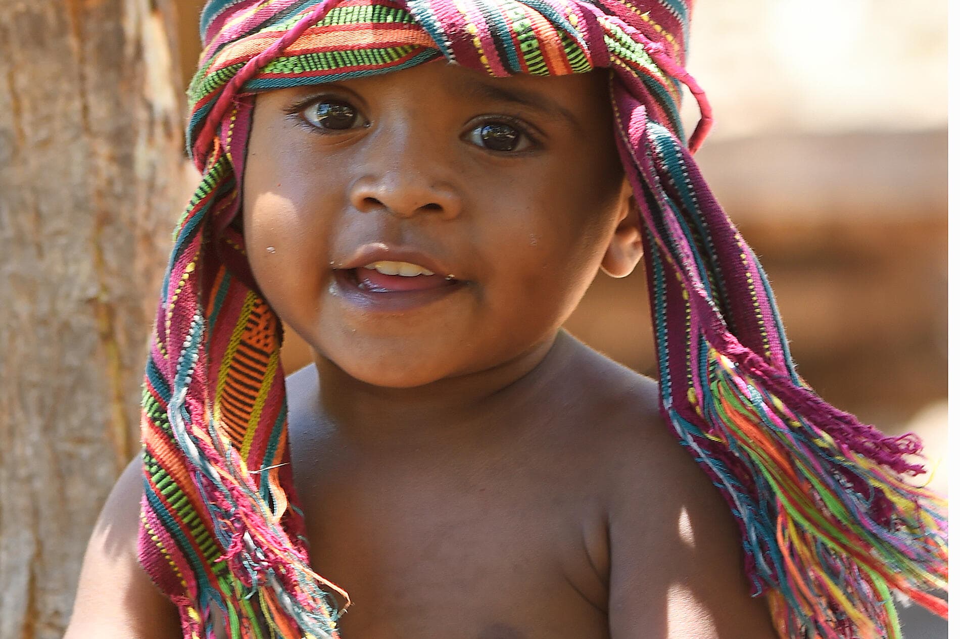 Voyage to Indonesia: Dragons, Reefs, and the Spice Islands – with Smithsonian Journeys 