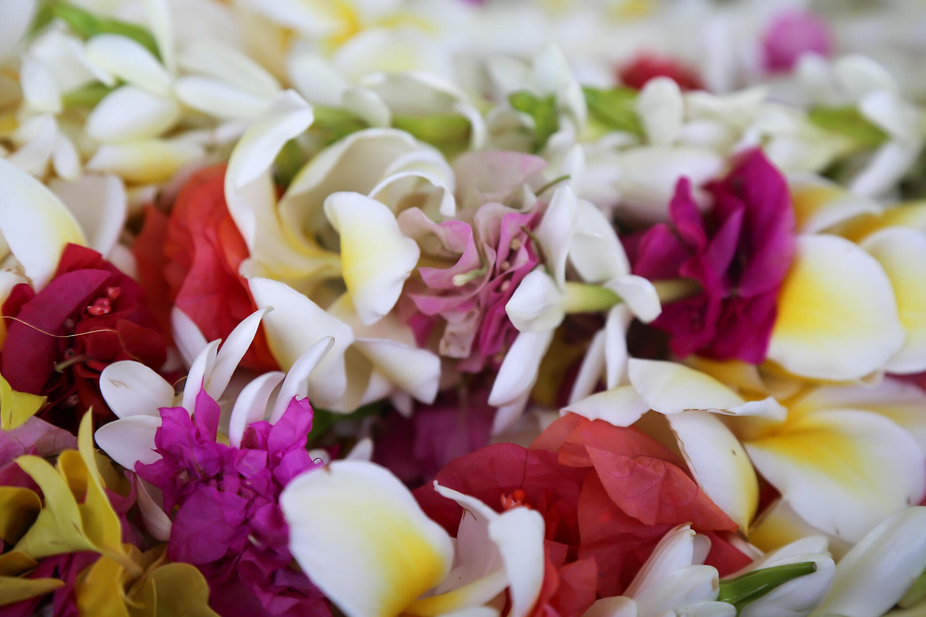 From Secluded French Polynesia to Pitcairn Island 