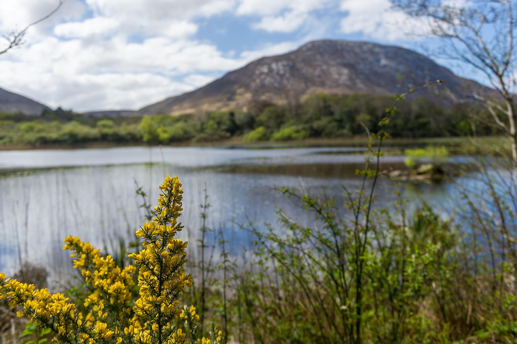 Around the Emerald Isle 