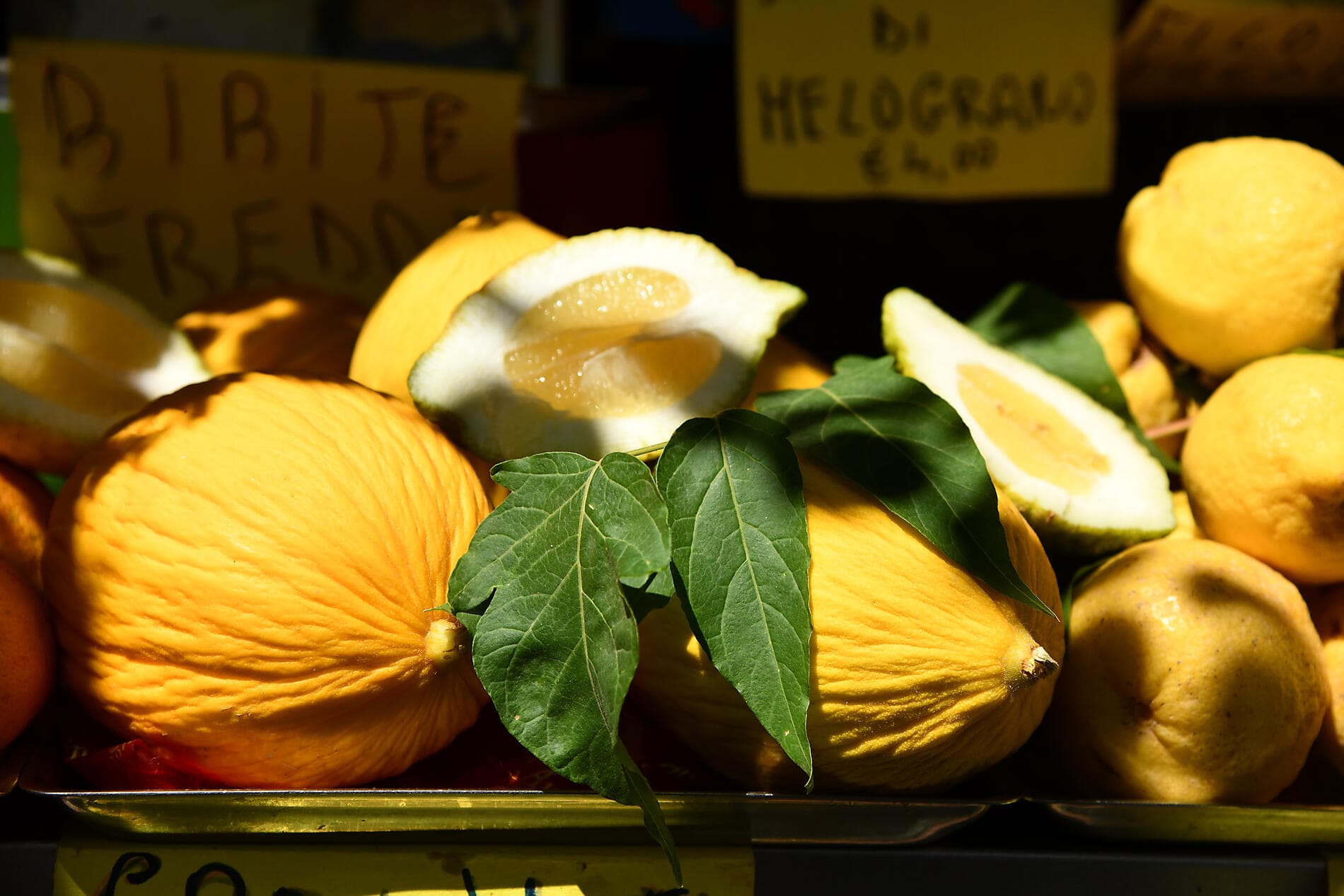 The Mediterranean: in the Footsteps of Great Civilisations