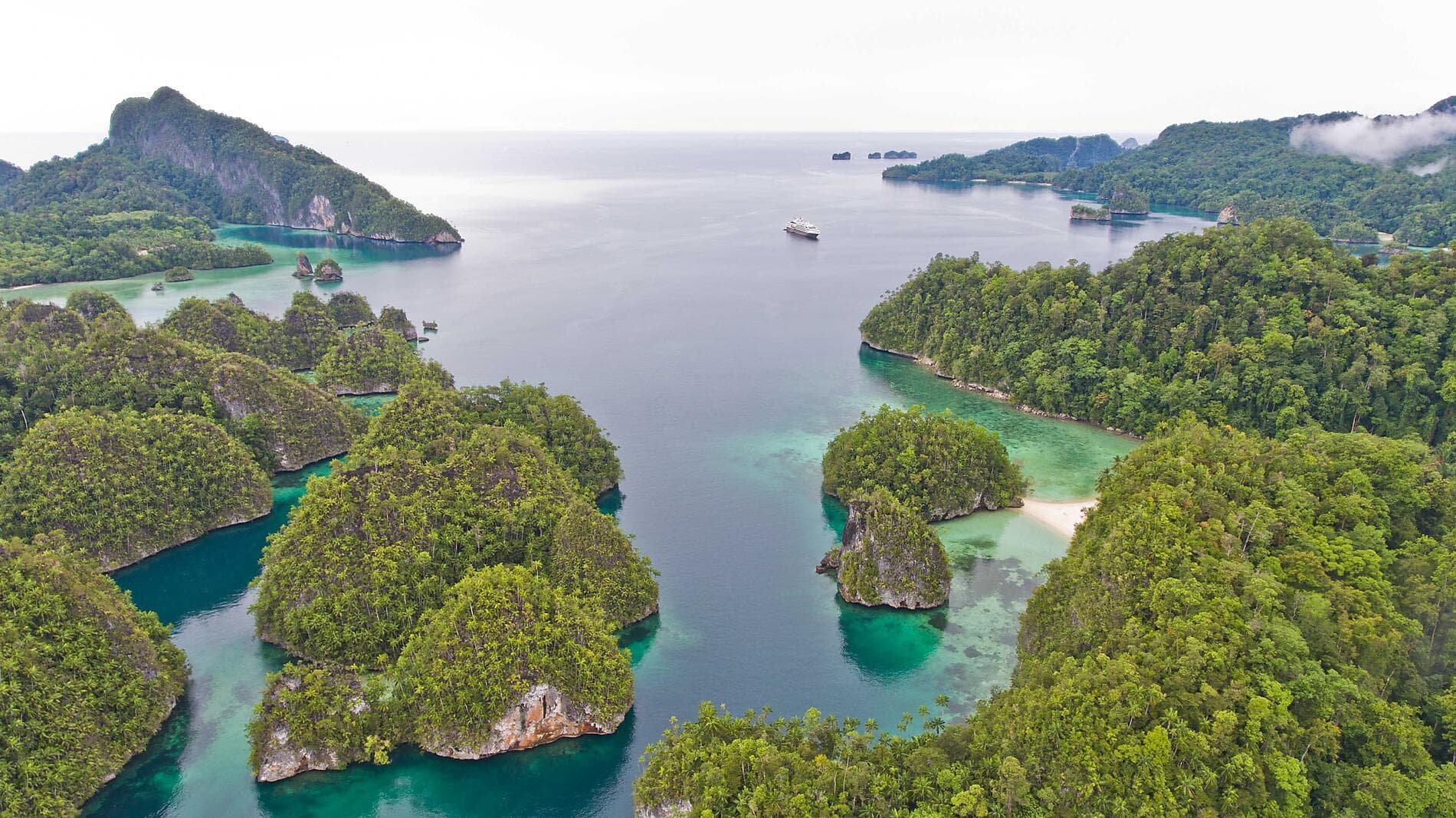 Tropical Indonesian Odyssey 