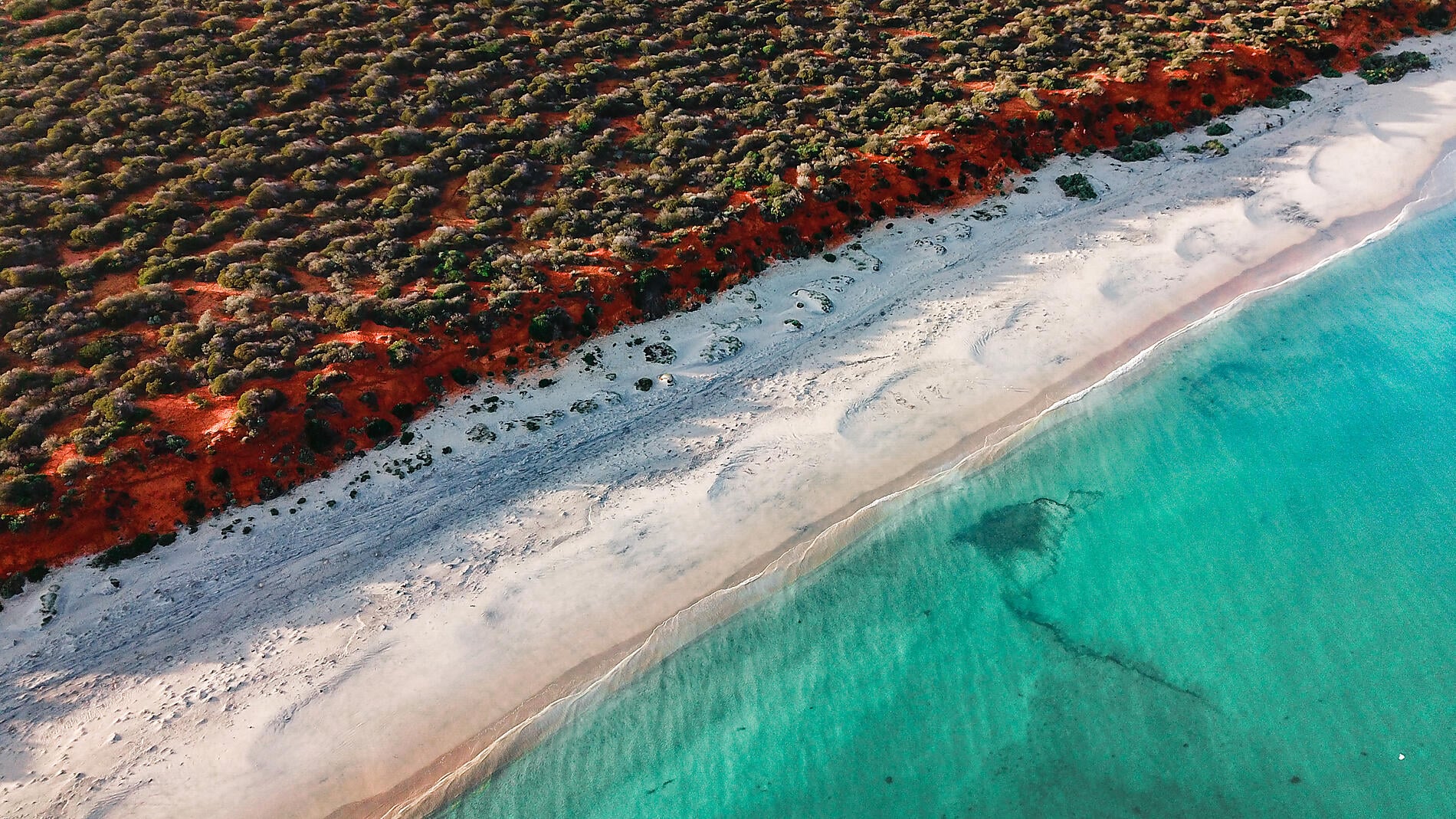 Shark Bay - Francois Peron © Tim Gunns.JPG
