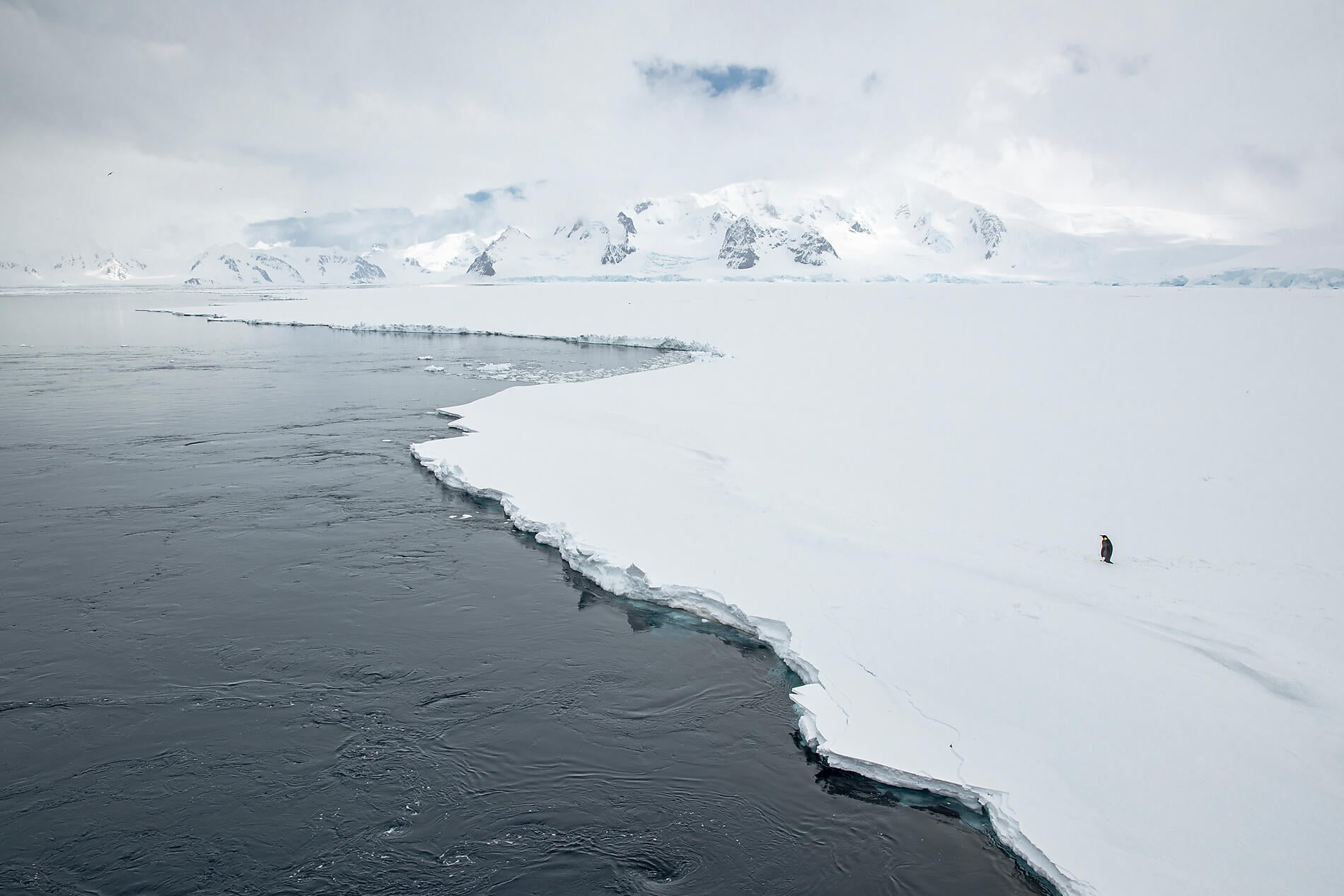 N-1163_O011121_PuntaArenas-PuntaArenas©StudioPONANT-Olivier Blaud.jpg