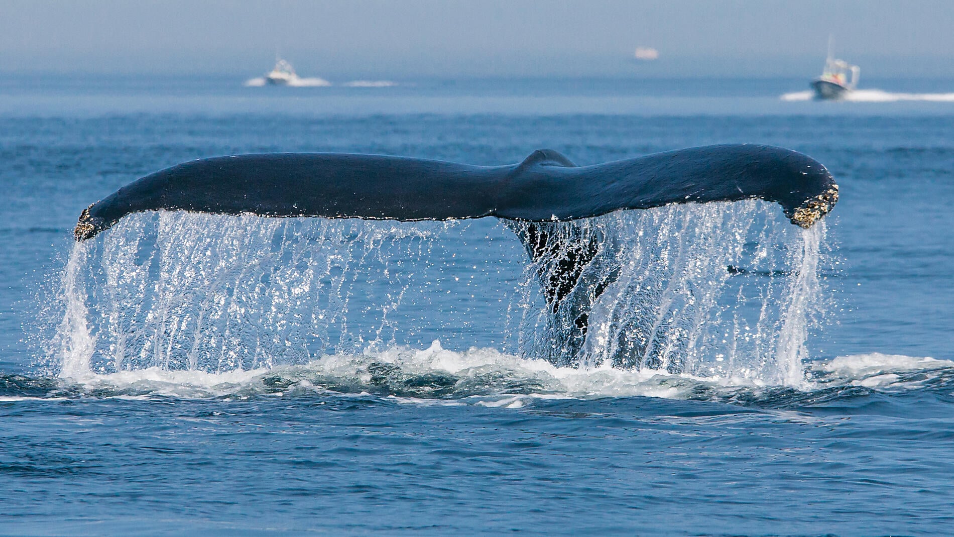 Exploration from Greenland to Canada via Saint Pierre and Miquelon