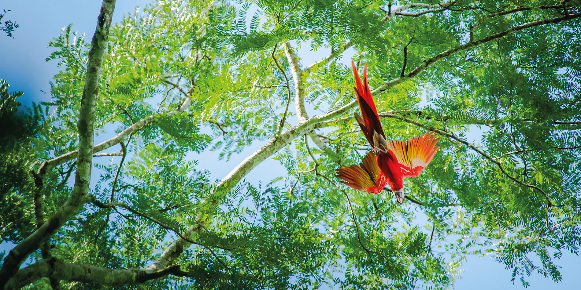 Central America Jewels & Panama Canal 