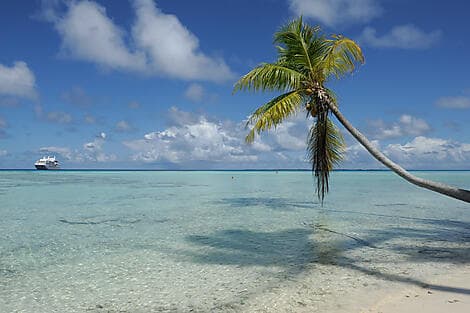 2 Oct 27 - Fakarava, Tuamotu Islands