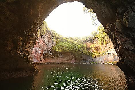 2 Jan 27 - Musgrave Inlet, Auckland Islands