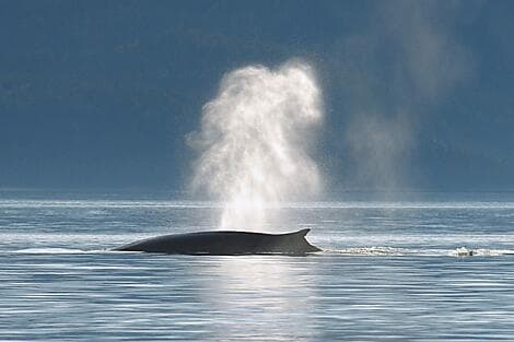 27 Sept 27 - Sailing River Saint Lawrence and going through its locks
