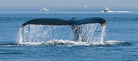 30 Sept 27 - Tadoussac