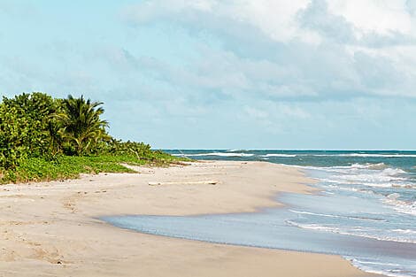 28 Jan 26 - Vieux Fort