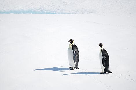 13 Mar 27 - The Weddell Sea exploration