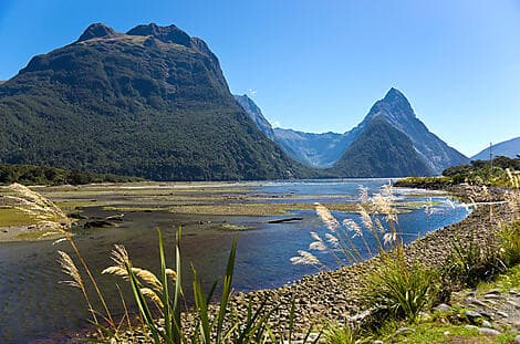 31 Dec 26 - Milford Sound