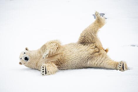 2 Jul 27 > 5 Jul 27 - Exploration of North-East Greenland