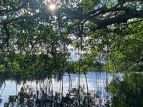 5 Jan 26 - La Ensenada