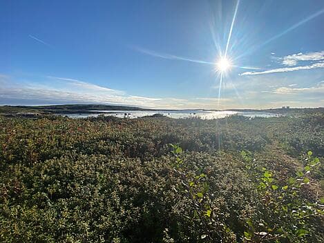 29 Sept 26 - La Romaine