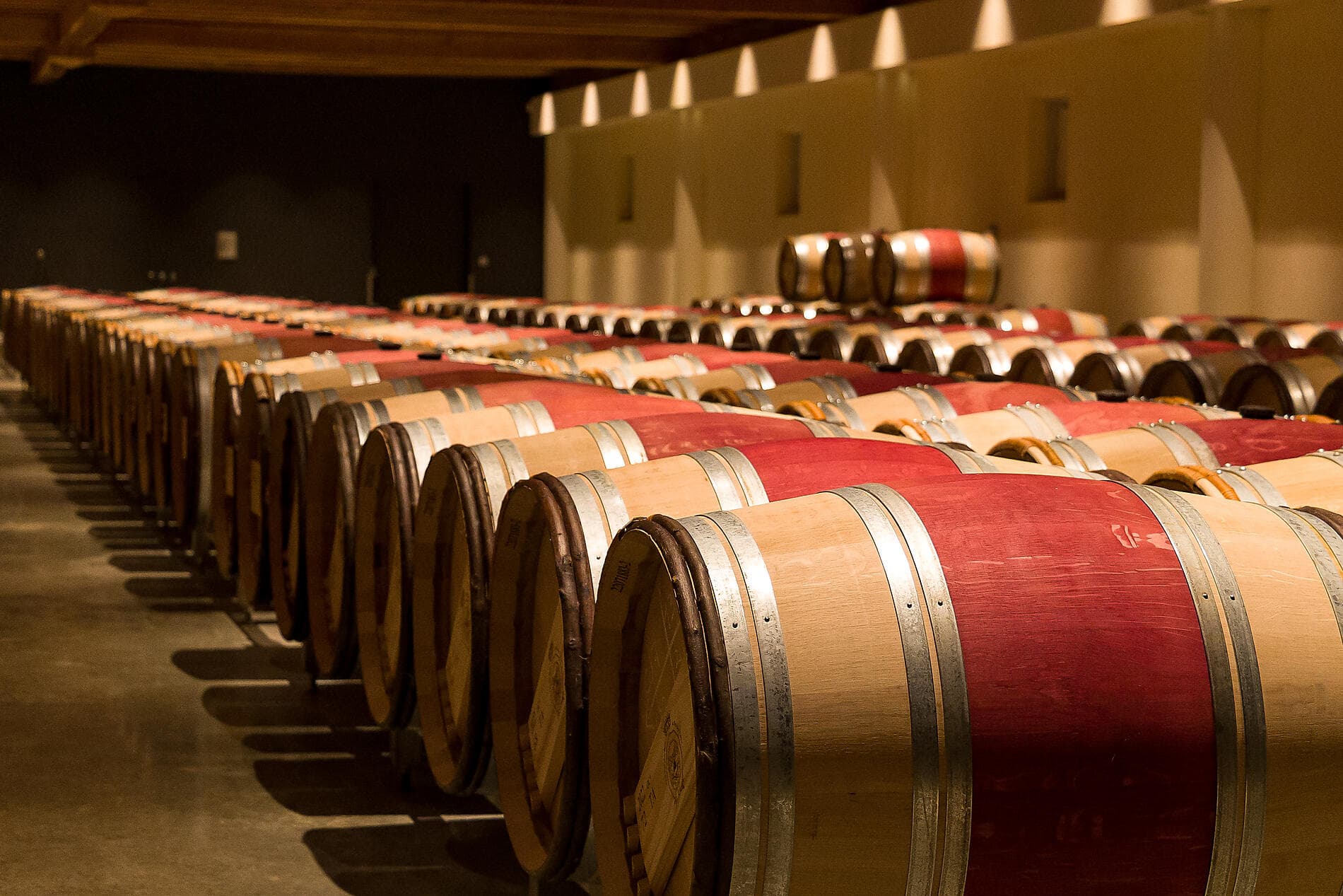 Gastronomy, Vineyards & Grands Crus