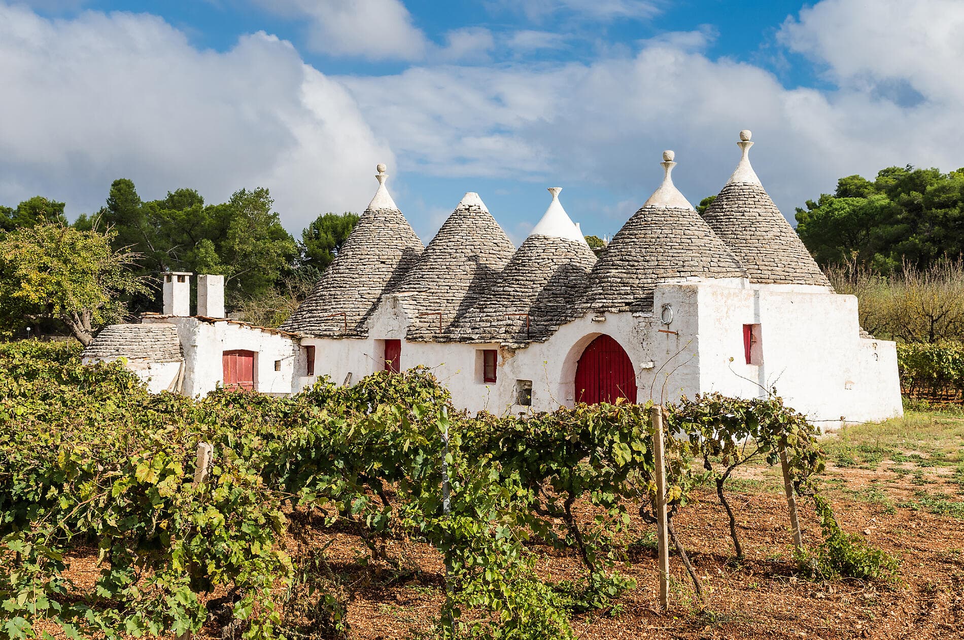 A Celebration of Art Featuring the 61st Venice Biennale