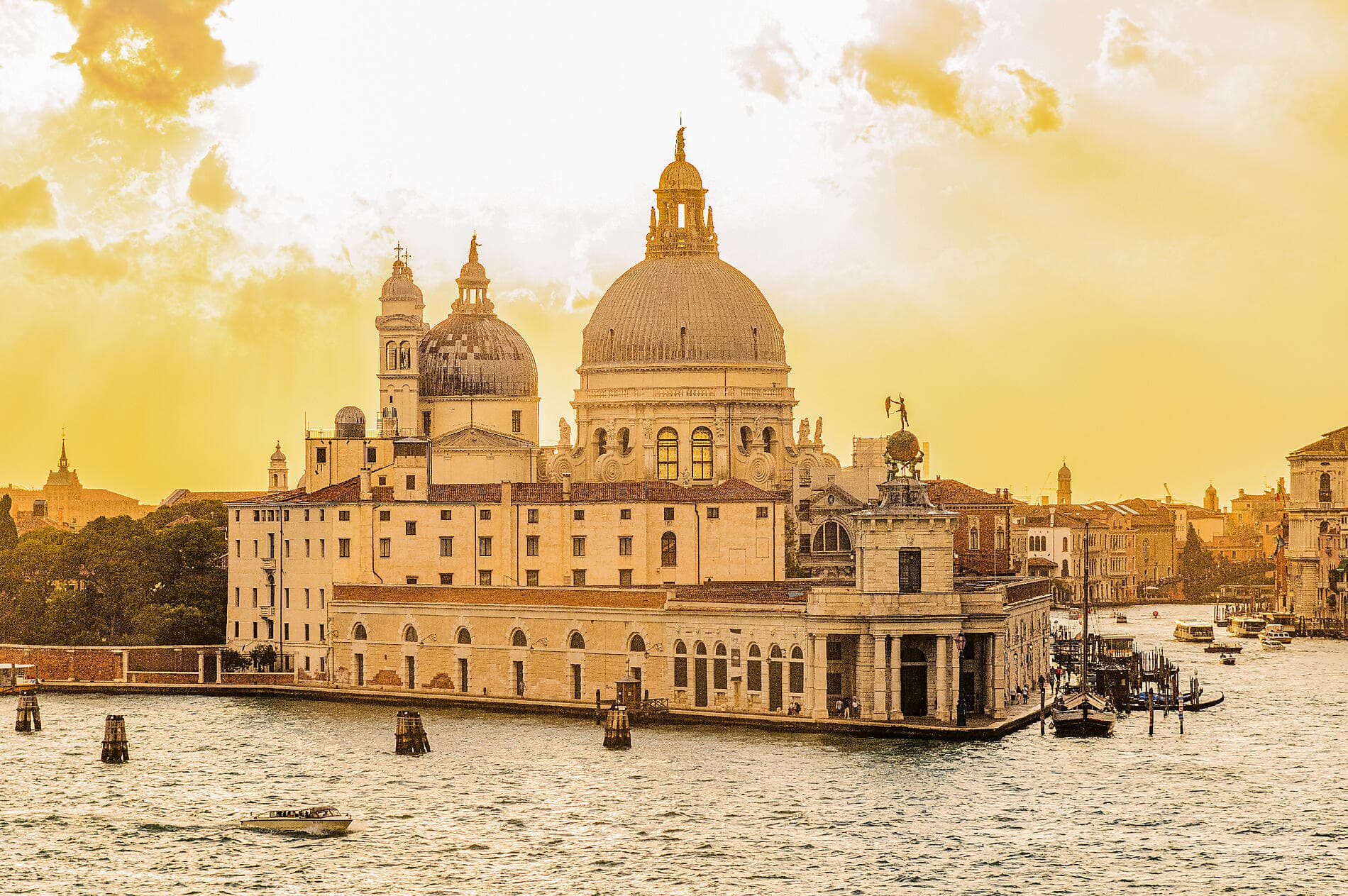 A Celebration of Art Featuring the 61st Venice Biennale