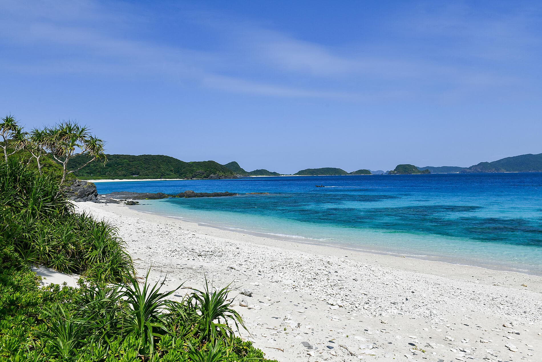 Odyssey in the heart of Japan’s subtropical islands