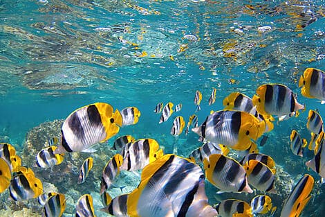 12 Feb 26 - South Friars Bay, Saint Kitts